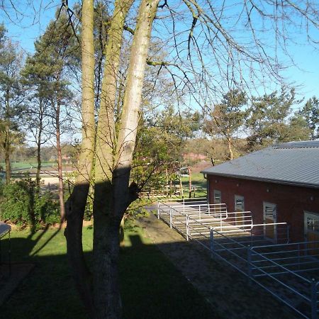 Ferienwohnung Friesenstall Heede エクステリア 写真