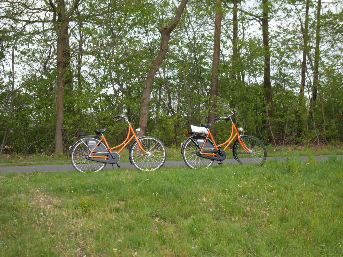 Ferienwohnung Friesenstall Heede エクステリア 写真